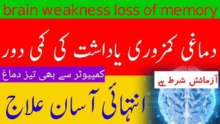 دماغی کمزوری کا علاج ۔حکیم انوار حسین فریدی health tips afriidi.memory# loss#