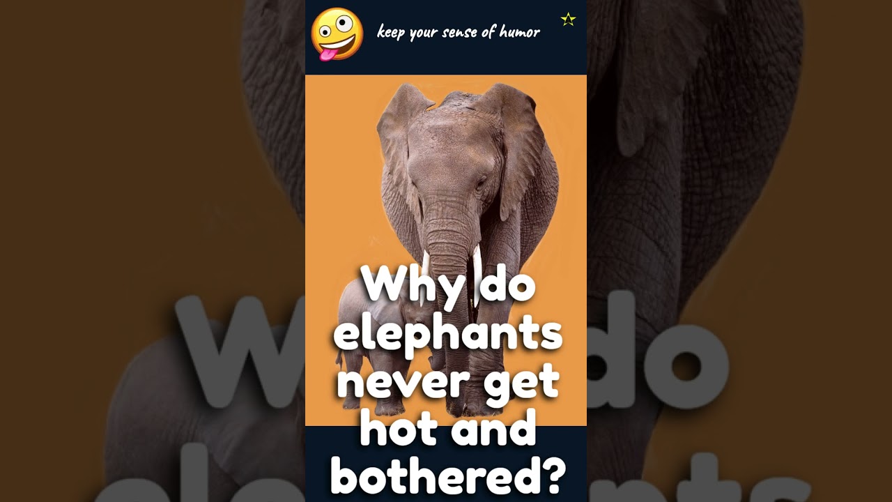 keep your sense of humor 14 😎