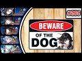 Epic seven  beware of dog  rta 386