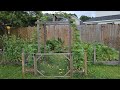 Week 4 garden tour. And expansion?