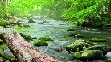 الحزب 14 من سورة الأنعام(من الآية 69 إلى الآية 80)برواية الإمام ورش عن نافع @