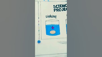 science project #shortvideo  sinking and floating easy