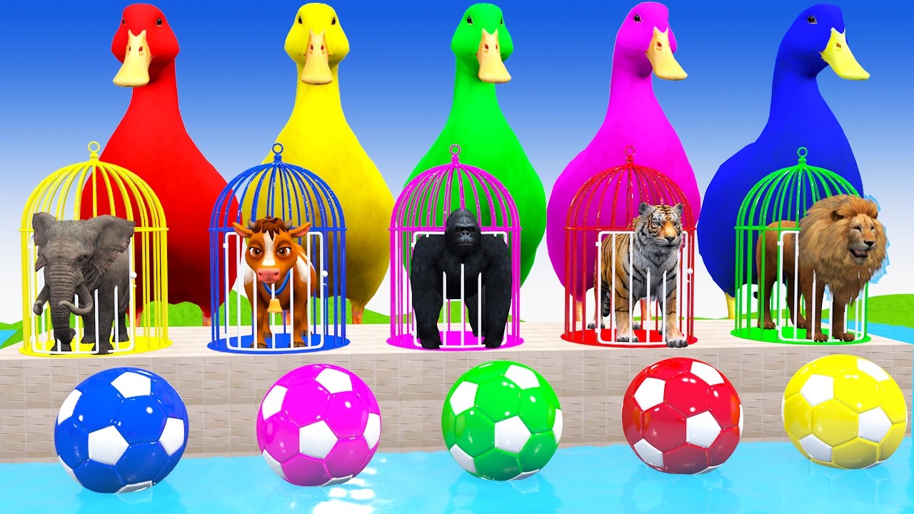 Long Slide With Cow Elephant Gorilla Hippopotamus 3d Animal Game Funny 3d Animals