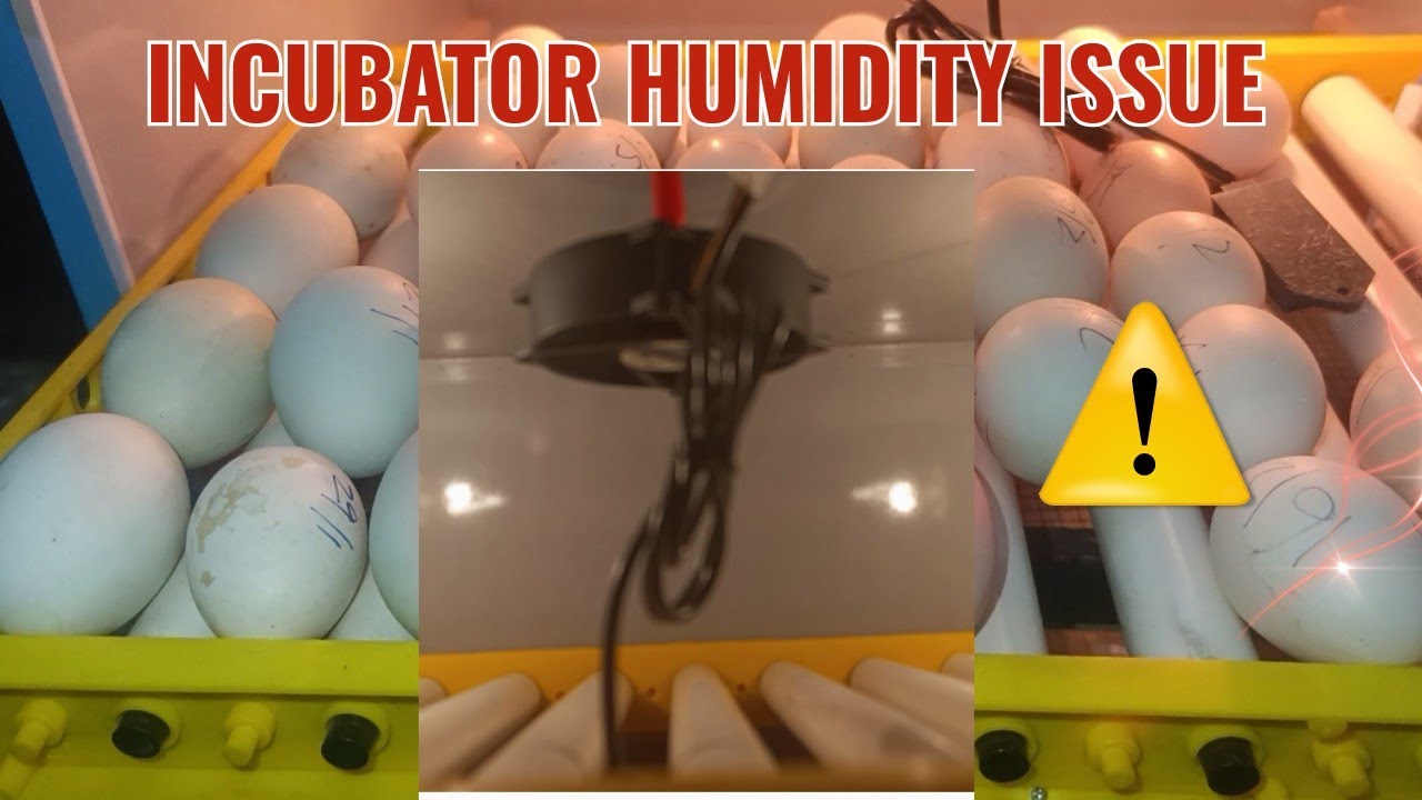 Incubator humidity controlling issue Part 2