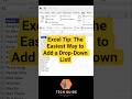 Excel Tip: The Easiest Way to Add a Drop-Down List! #excelshorts #techguide