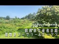 【オープンガーデン】宿根草が効果的に使われている生産販売者のガーデン訪問【園芸】【ガーデニング】