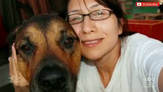 Abc 2020 New 2025  What Happened To The Mcstays Documentary True Crime  Hd