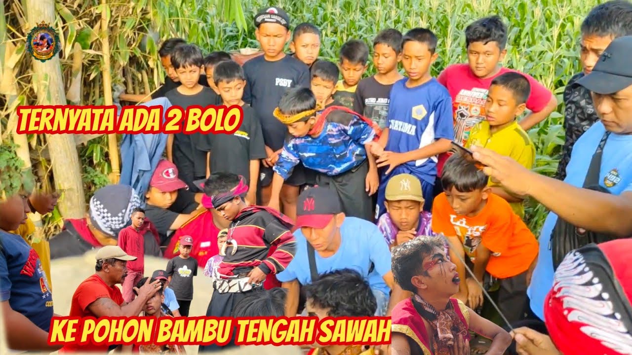 Bantengan WSO Live ngampel