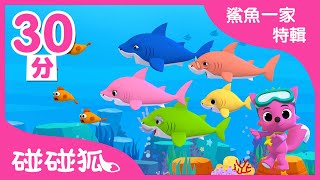 鯊魚一家特輯 | 最新兒歌 | 鯊魚寶寶 | 全球洗腦的BabyShark 鯊魚歌 | 碰碰狐PINKFONG