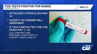 Rabid fox attacks three people in Kernersville, Forsyth County health officials say