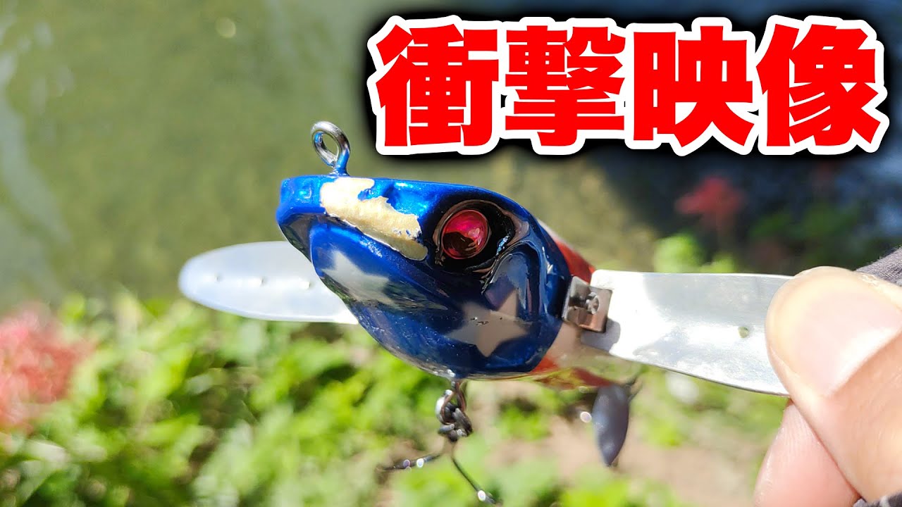 悪用厳禁】ブラックバスに強制的にルアーを食わせる方法を偶然見つけて