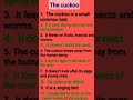 Essay on The cuckoo ll 10 lines essay on the cuckoo ll #SHORTS #youtube #Anjana Lall Study