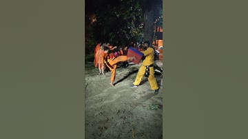 Authentic Shaolin Kung Bian Tui Kick Practice