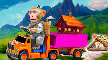 What Happens When a Monkey Meets a Stuck Puppy? 🐵🐶 | Mr. Monkey Animal