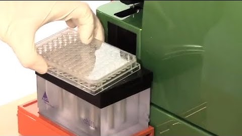 96-well flow cytometry analysis on the MACSQuant Analyzer