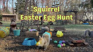 Mister Squirrel Found the Special Easter Egg