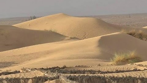Morocco’s oases fight back creeping desert sands