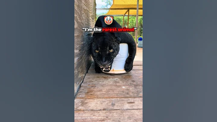 So rare ☠️☠️ #animals #edit #viralshorts thumbnail