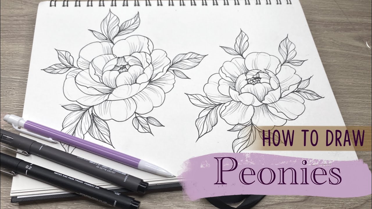 Peony tattoo sketch by NanamieArts on DeviantArt