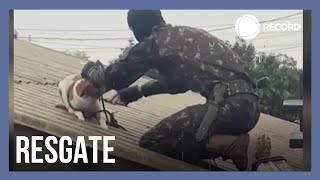 Militar sobe em telhado para resgatar cachorro em Canoas (RS)
