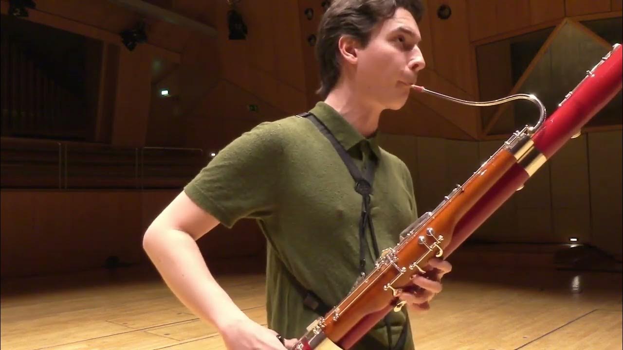 Комплексами фагот. Basson инструмент. женщина с фаготом.