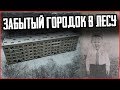 Маленькая Припять в глуши леса | Люди сбежали будто вчера | Странные находки в подвале