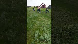 лето🌞🌴🏄🎇