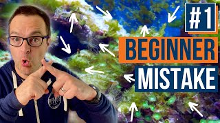 Reef Tank Hair Algae & More... 10 Mistakes to AVOID! Ep: 38a