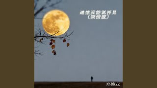 遗憾没能说再见 (深情版)