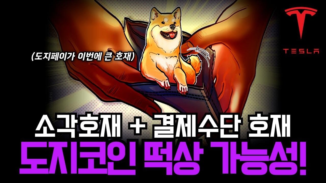 도지코인 떡상 가능성 높다! 소각 모멘텀+결제수단 채택 현실화… 이번 사이클 진짜 시작됐다 #도지코인 - YouTube