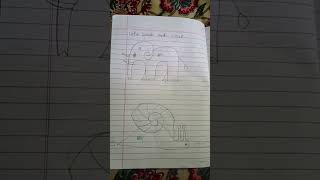 Draw and color worksheet for Nursery #childeducation #education #play #earlyeducation #worksheet
