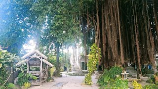 Anodash Homestay | Ko Pha-ngan, Thailand | Hotel Review 🌟