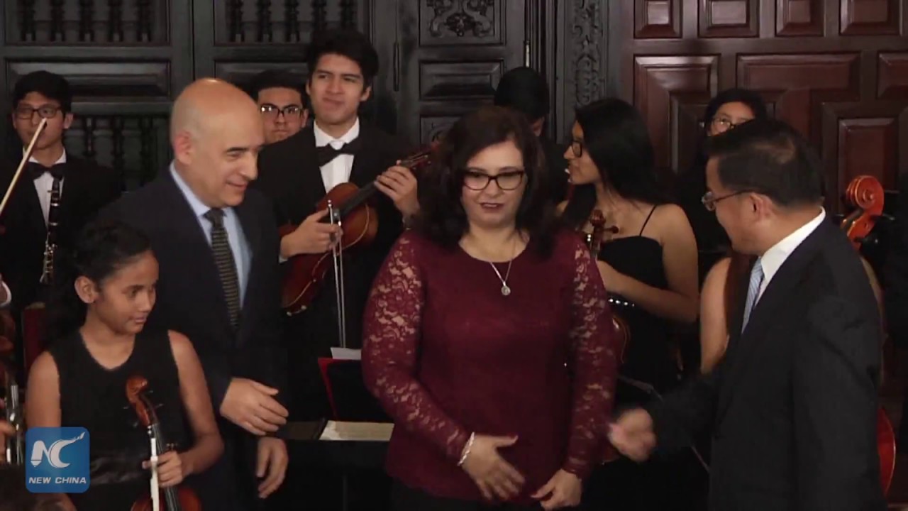 Musical charity program receives huge donation of instruments from