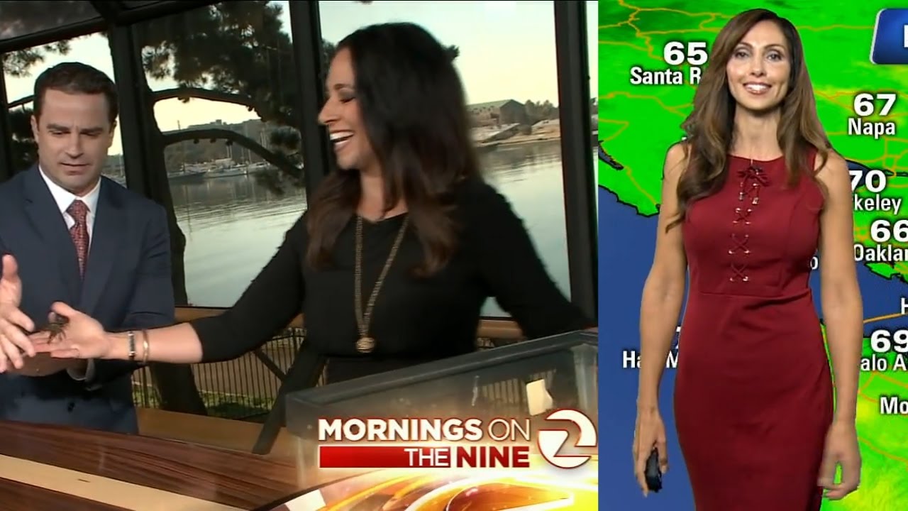 Gasia Mikaelian and Rosemary Orozco 11.04.16 KTVU News Fox 2 YouTube