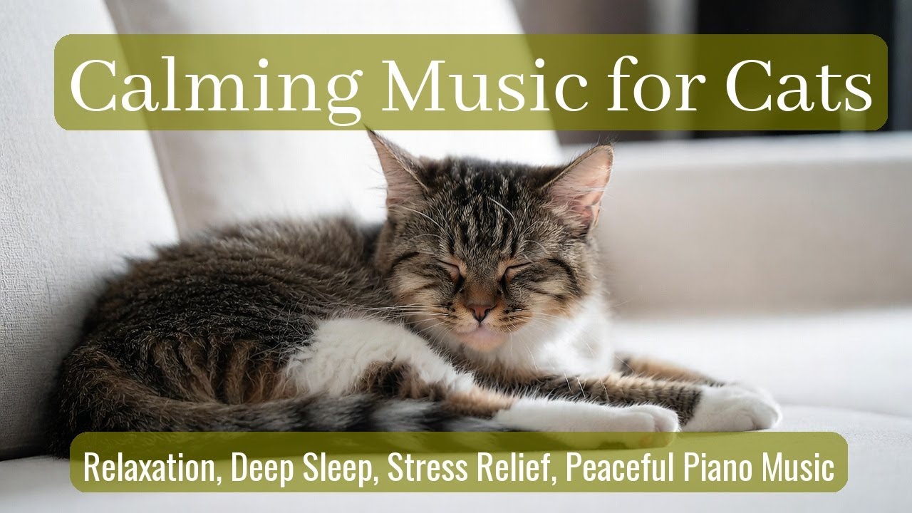 Calming Music for Cats - Relaxation, Deep Sleep, Stress Relief, Peaceful Piano Music | Season 60