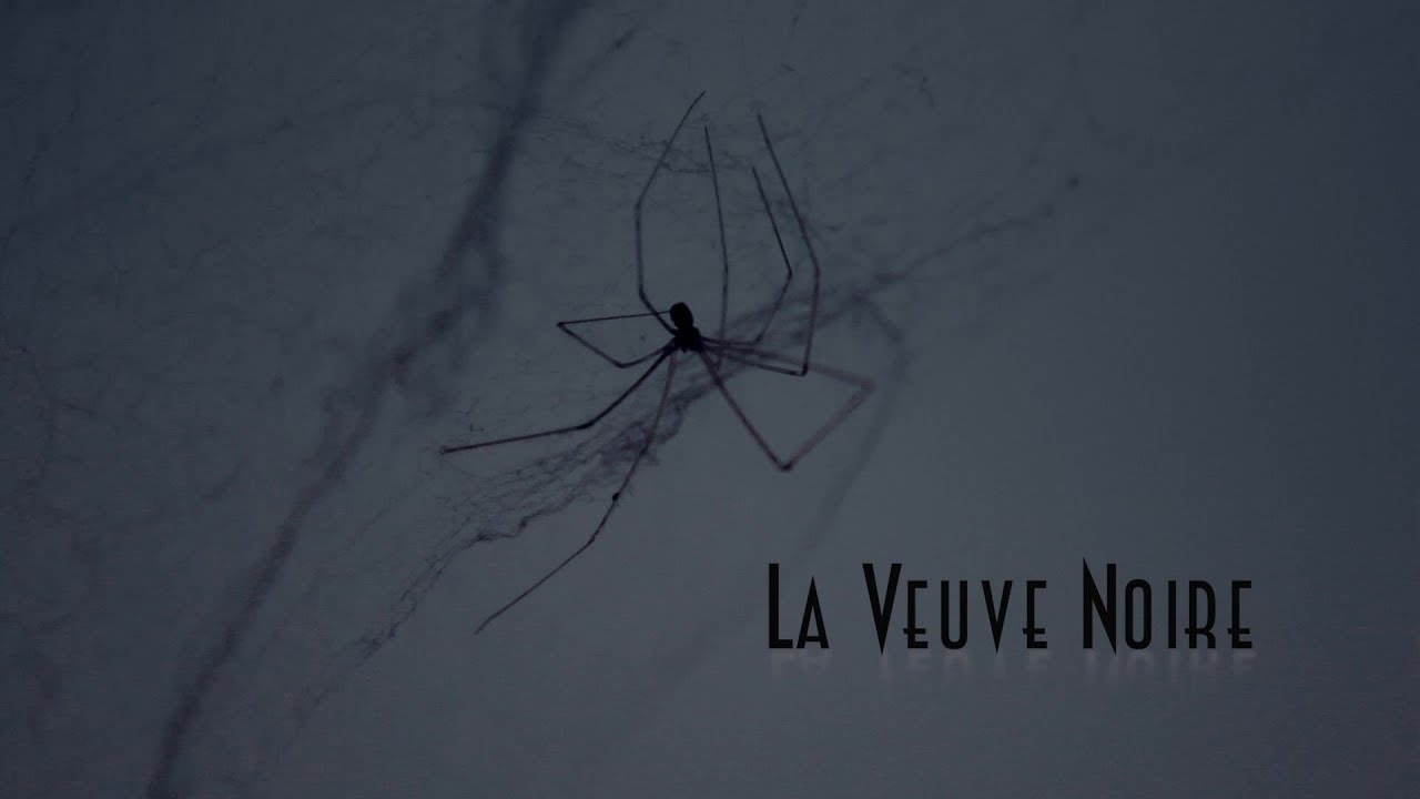 La Veuve Noire Film 1994