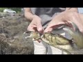 Waterways & Wonders Promo | Windows to the Wild