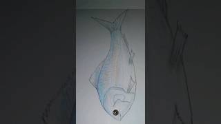 fish ?  Drawing     Fish   Drawing