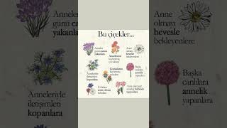 Her Şey Bir Insanı Sevmekle Başlar 🌸 Her Gün, Anneler Günü Ünü Resimi