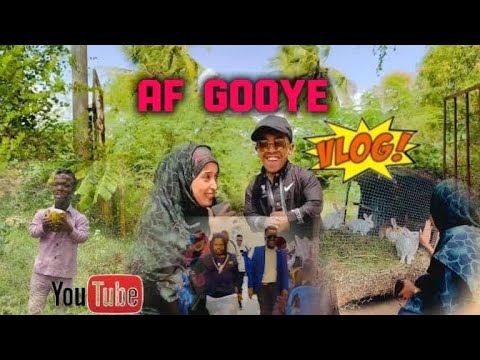 DALXIIS IYO CAZUUMAAD ISKU JIRO AFGOYE