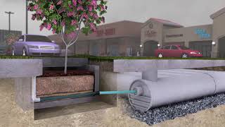Filterra Bioretention System Contech Engineered Solutions