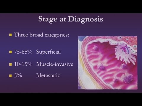 Bladder Cancer Full Details Hqdefault