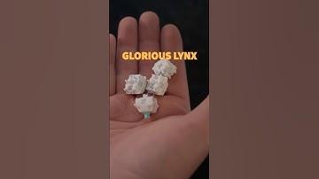 Glorious Lynx | Sound Test /ASMR #soundtest #asmr #keyboard