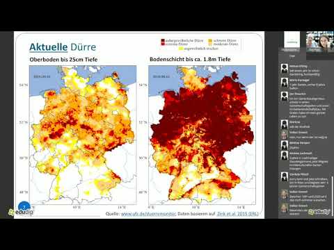 Video: Umgang mit erkrankten Calendula-Pflanzen: Calendula-Pflanzenkrankheiten und Behandlung