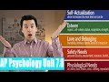 AP Psychology: Humanistic Theories of Personality Quiz