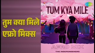 Tum Kya Mile (Afro Mix) - The Independeners & Arijit Singh