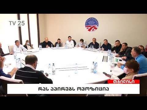 რას აპირებს ოპოზიცია