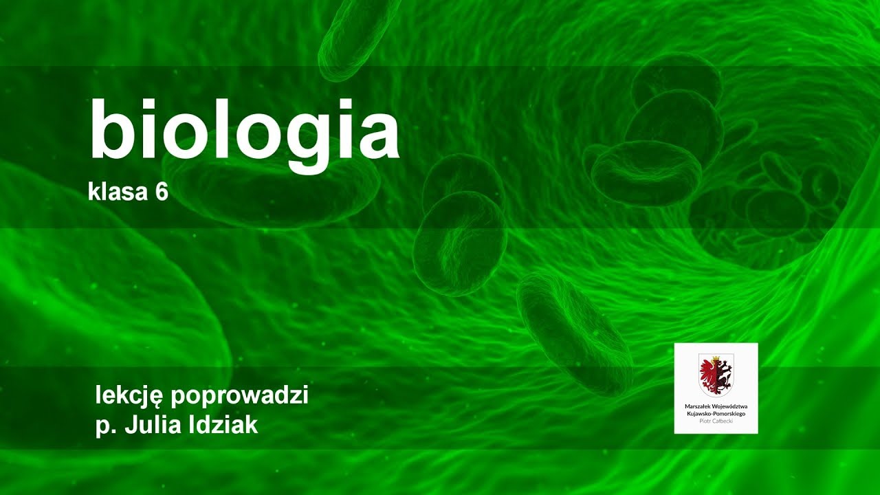 Klasa 6 - Biologia - przegląd i znaczenie płazów | szkoła - YouTube