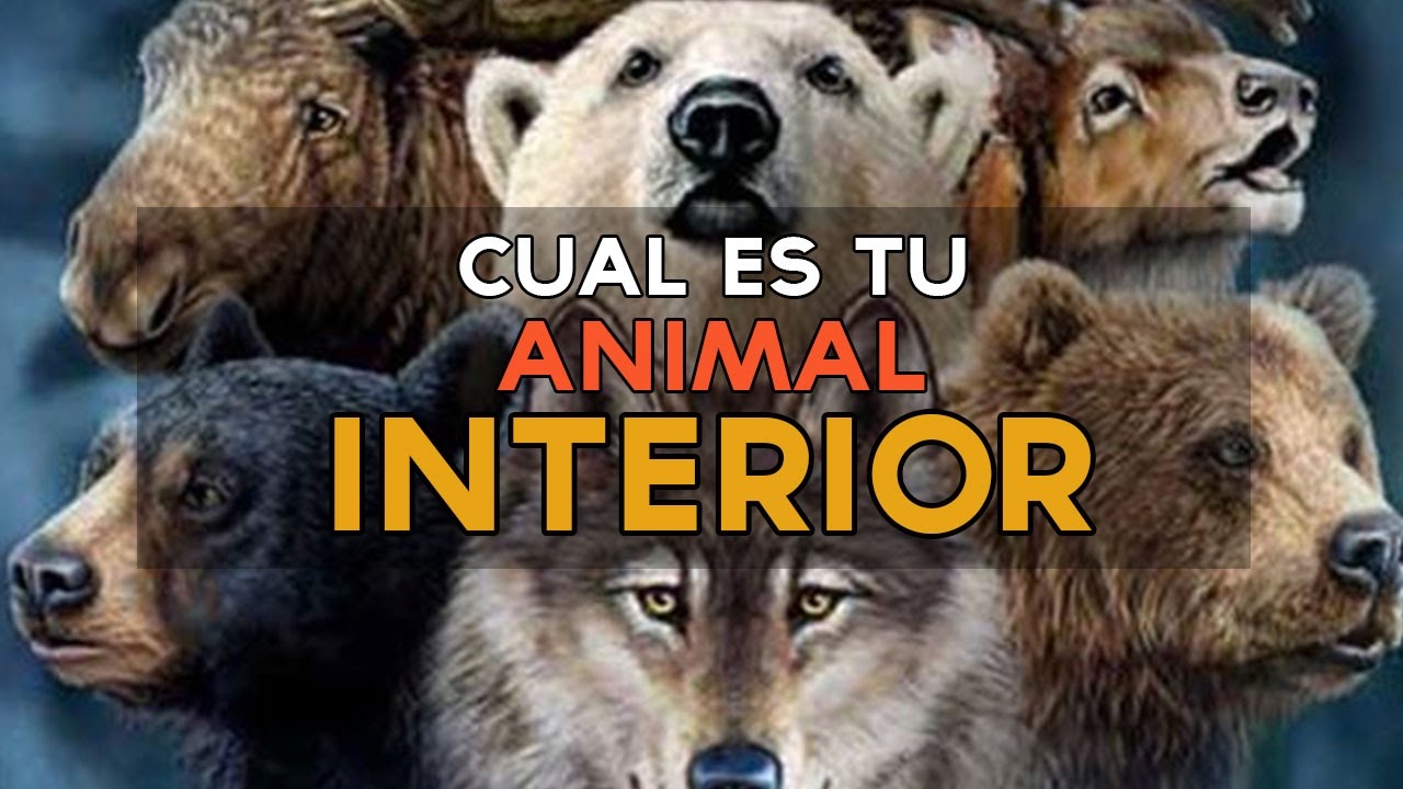 ¿Cual es tu animal interior? | Test Divertidos