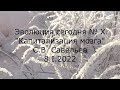 С.В. Савельев - Капитализация мозга